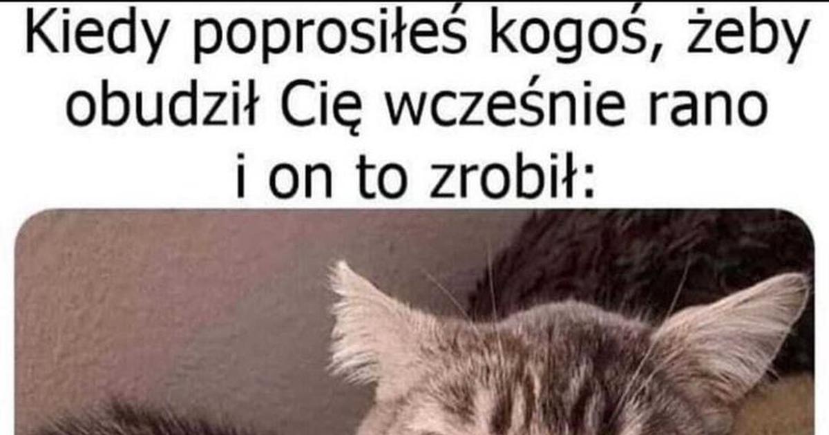 Repostuj pl Coś ty zrobił