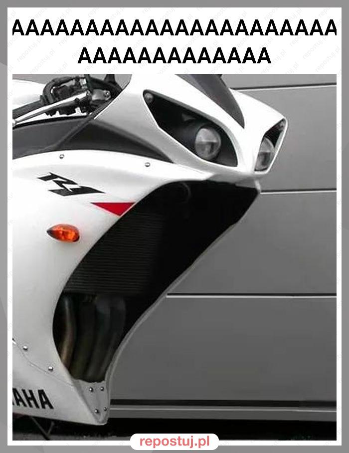 AAAAAAAAAAAAAAAAAAAAAAAAAAAAAAAAAAAAAAAAA