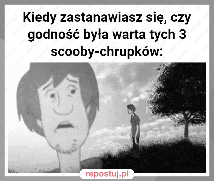 Kiedy zastanawiasz się, czy godność była warta tych 3 scooby-chrupków: