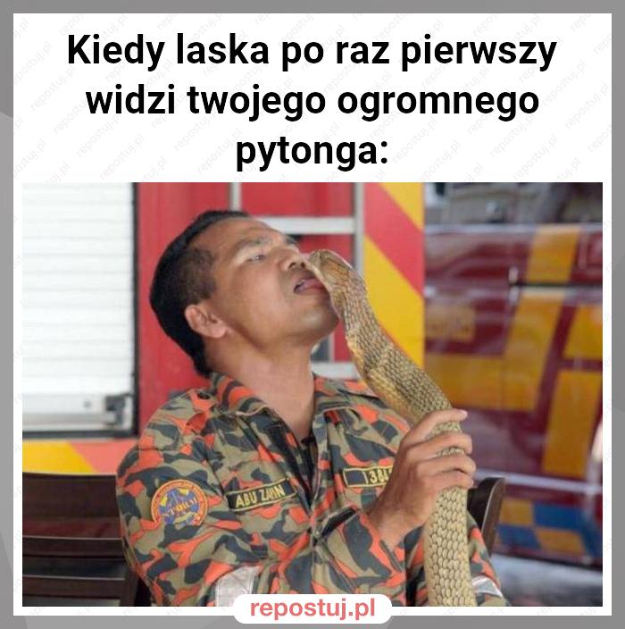 Kiedy laska po raz pierwszy widzi twojego ogromnego pytonga: