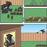 Śmierć w ogrodzie