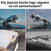 Jaguarki xDD