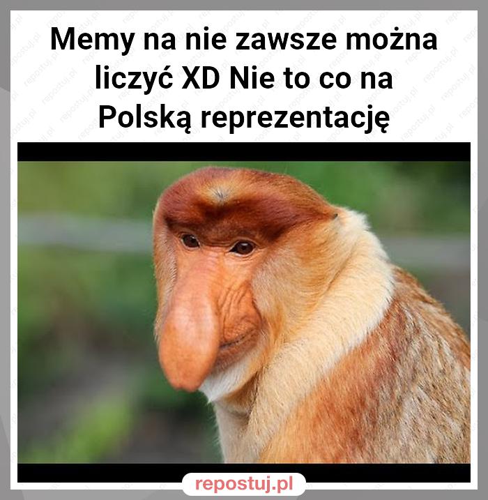 Memy na nie zawsze można liczyć XD Nie to co na Polską reprezentację