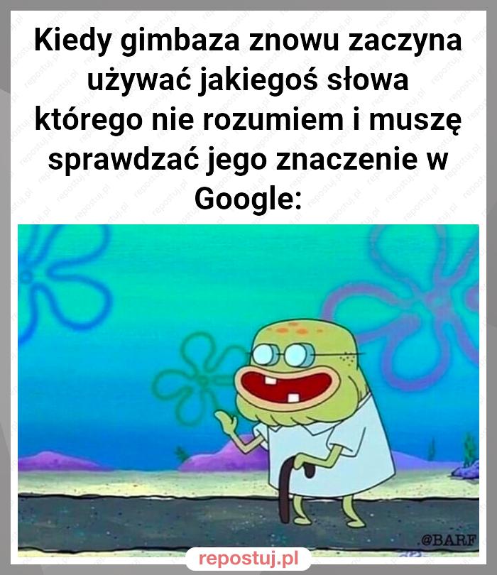 Kiedy gimbaza znowu zaczyna używać jakiegoś słowa którego nie rozumiem i muszę sprawdzać jego znaczenie w Google: