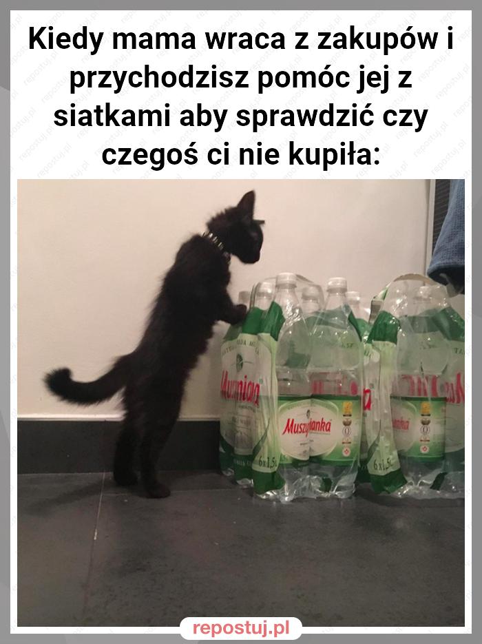 Kiedy mama wraca z zakupów i przychodzisz pomóc jej z siatkami aby sprawdzić czy czegoś ci nie kupiła: