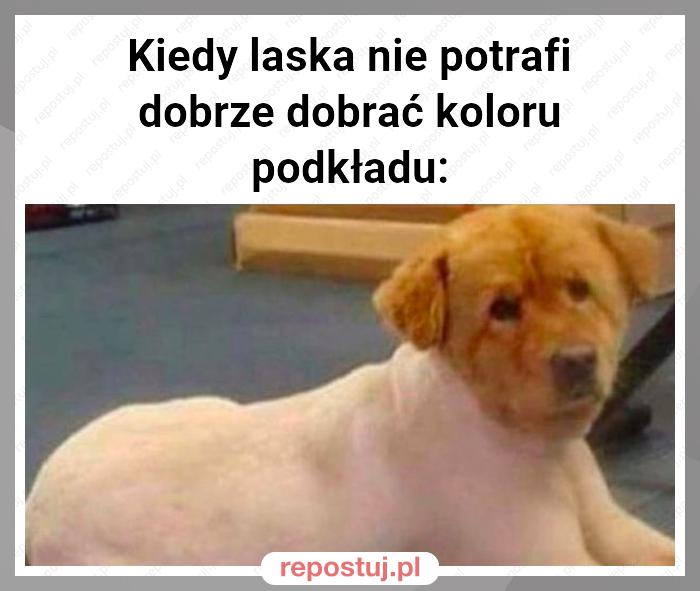 Kiedy laska nie potrafi dobrze dobrać koloru podkładu: