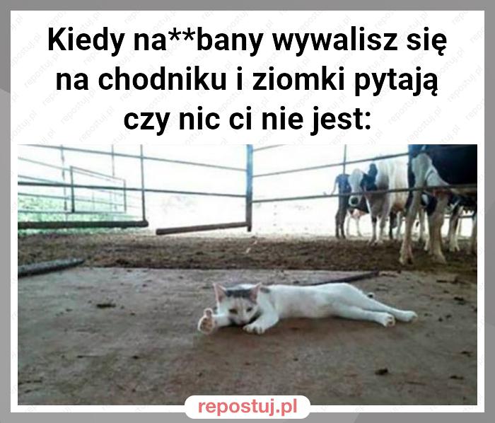 Kiedy na**bany wywalisz się na chodniku i ziomki pytają czy nic ci nie jest: