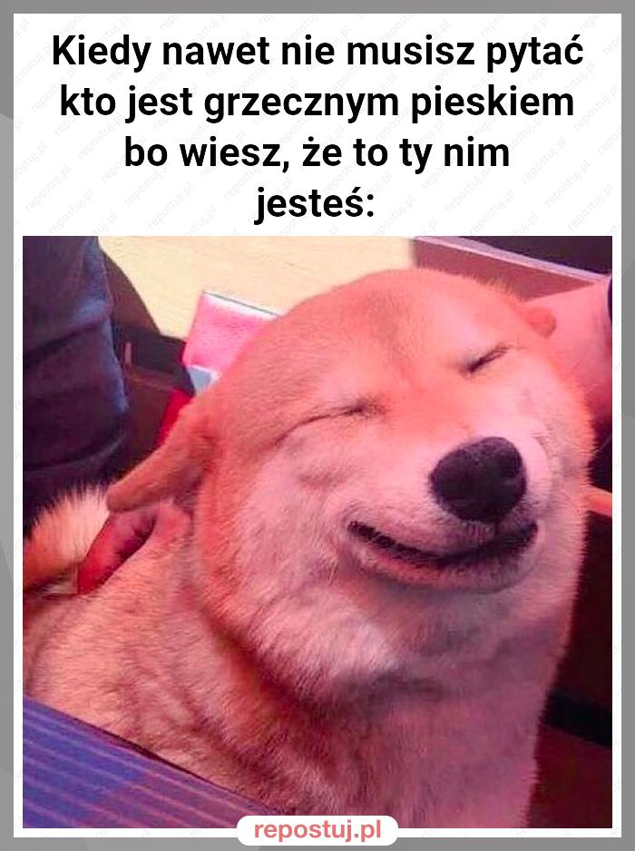 Kiedy nawet nie musisz pytać kto jest grzecznym pieskiem bo wiesz, że to ty nim jesteś: