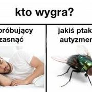 ptaki z autyzmem