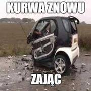 Znowu zając xD