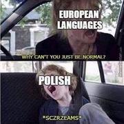 Polski język