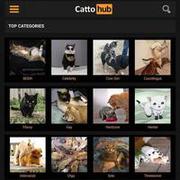 Cattohub xDD