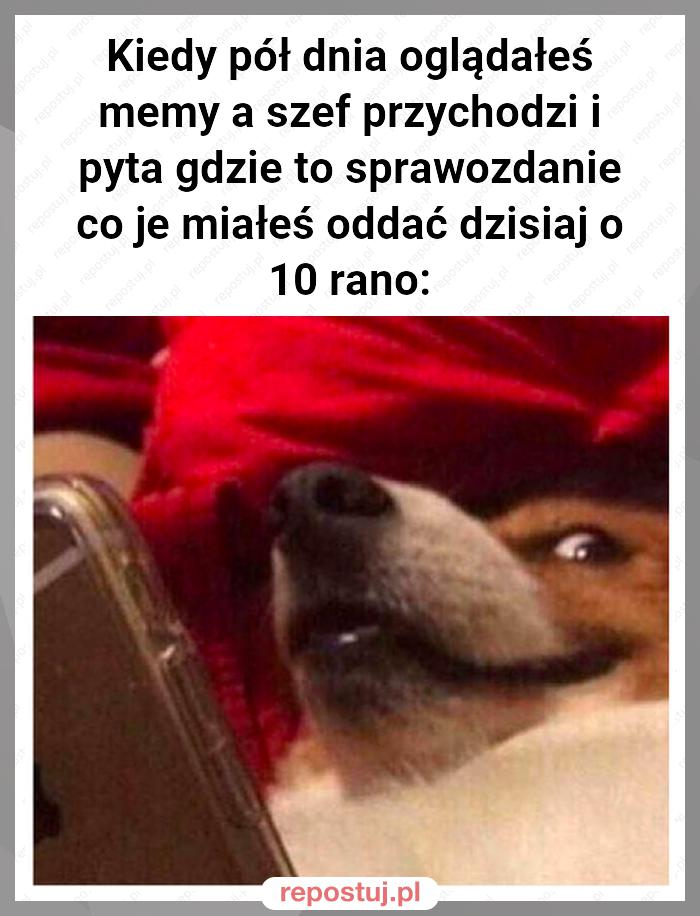 Kiedy pół dnia oglądałeś memy a szef przychodzi i pyta gdzie to sprawozdanie co je miałeś oddać dzisiaj o 10 rano: