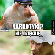 Wszystko mamy xD