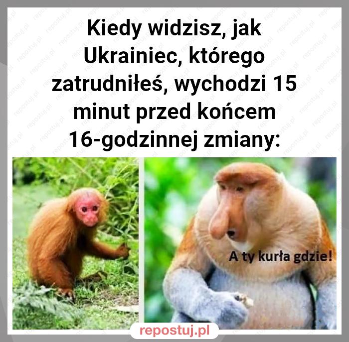 Kiedy widzisz, jak Ukrainiec, którego zatrudniłeś, wychodzi 15 minut przed końcem 16-godzinnej zmiany: