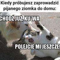 Każdy