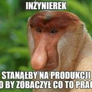 No dokładnie