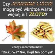 Jesienne liście