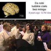 Cialo bez mózgu