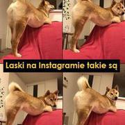 Laski na insta