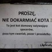 Nie dokarmiać kota