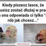 Co te laski...