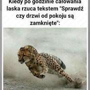 Prędkość światła