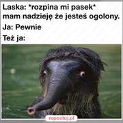 Zdziwi się xD