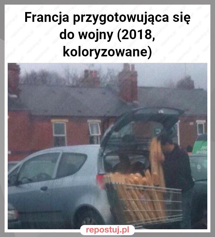 Francja przygotowująca się do wojny (2018, koloryzowane)