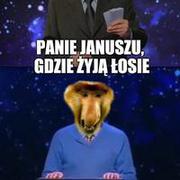 Gdzie żyją łosie?