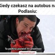 Trzeba sobie radzić