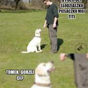 Tomek, wszystko okay?