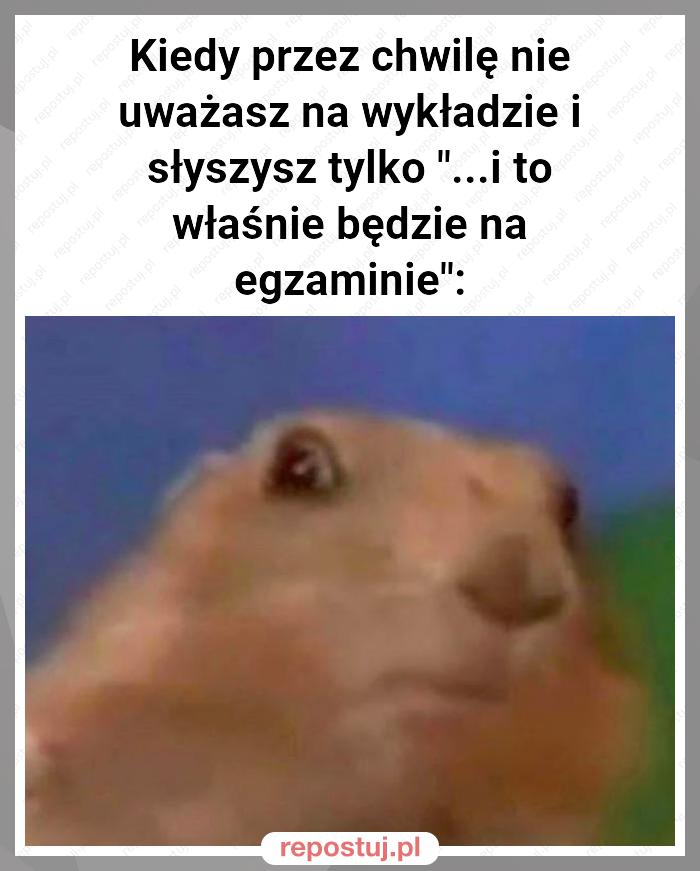 Kiedy przez chwilę nie uważasz na wykładzie i słyszysz tylko "...i to właśnie będzie na egzaminie":