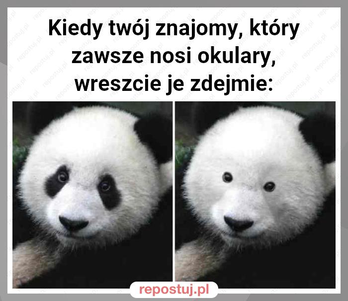 Kiedy twój znajomy, który zawsze nosi okulary, wreszcie je zdejmie: