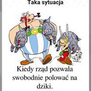 Dziczka bym zjadł