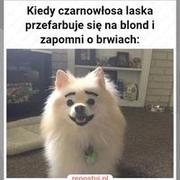 Tak to wygląda