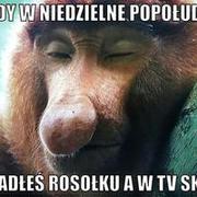 Idealne popołudnie