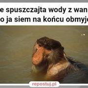 Janusze xD