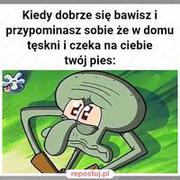 Biedny sam siedzi