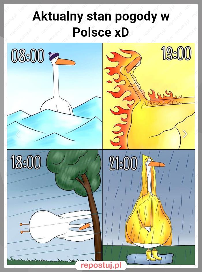 Aktualny stan pogody w Polsce xD
