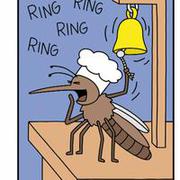 Komiks o komarach