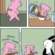 Komiks o śwince