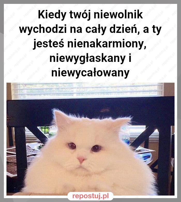 Kiedy twój niewolnik wychodzi na cały dzień, a ty jesteś nienakarmiony, niewygłaskany i niewycałowany