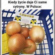 Polskie Cytryny