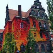 Muzeum Narodowe we Wrocławiu ;)