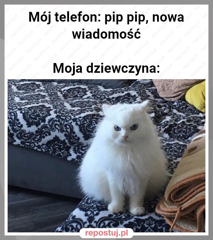 Mój telefon: pip pip, nowa wiadomość

Moja dziewczyna: