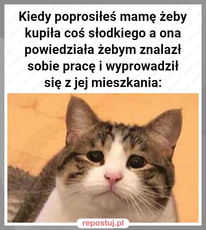 Kiedy poprosiłeś mamę żeby kupiła coś słodkiego a ona powiedziała żebym znalazł sobie pracę i wyprowadził się z jej mieszkania: