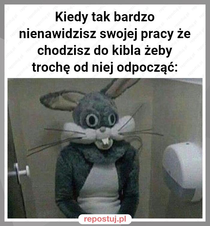 Kiedy tak bardzo nienawidzisz swojej pracy że chodzisz do kibla żeby trochę od niej odpocząć: