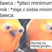 Słuchaj no