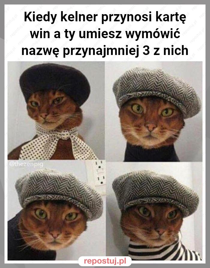 Kiedy kelner przynosi kartę win a ty umiesz wymówić nazwę przynajmniej 3 z nich